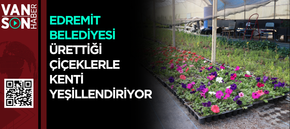 Edremit Belediyesi ürettiği çiçeklerle kenti yeşillendiriyor