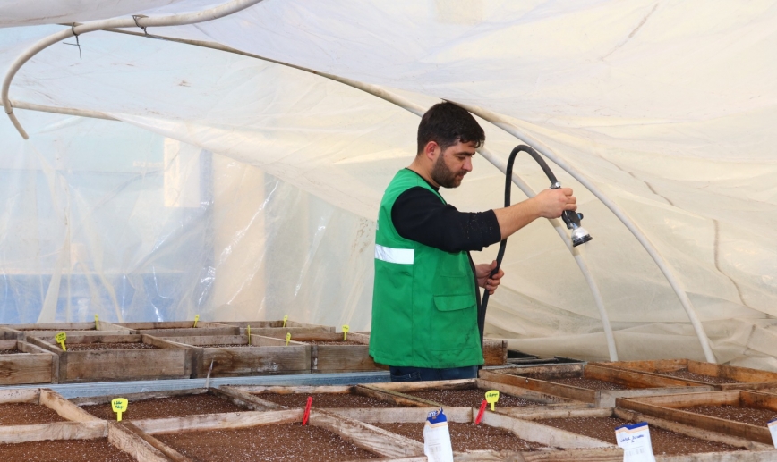 EDREMİT BELEDİYESİ YÜZLERCE SÜS BİTKİSİ VE ÇİÇEK TOHUMUNU TOPRAKLA BULUŞTURDU!