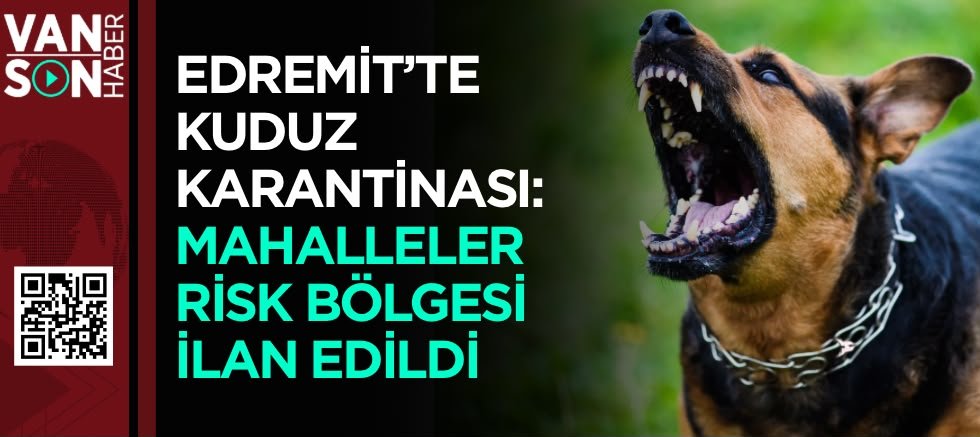 EDREMİT'TE KUDUZ KARANTİNASI: MAHALLELER RİSK BÖLGESİ İLAN EDİLDİ 