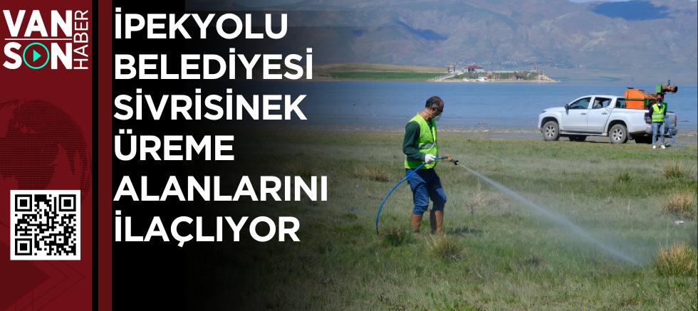 İPEKYOLU BELEDİYESİ SİVRİSİNEK ÜREME ALANLARINI İLAÇLIYOR