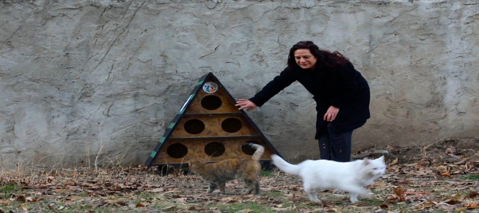 TUŞBA BELEDİYESİ'NDEN SOKAK KEDİLERİ İÇİN KIŞ ÖNLEMİ!