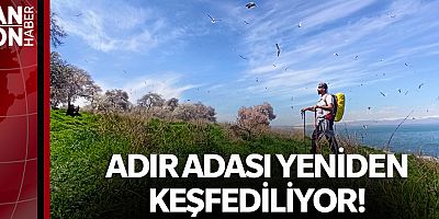 ADIR ADASI YENİDEN KEŞFEDİLİYOR