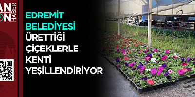 Edremit Belediyesi ürettiği çiçeklerle kenti yeşillendiriyor