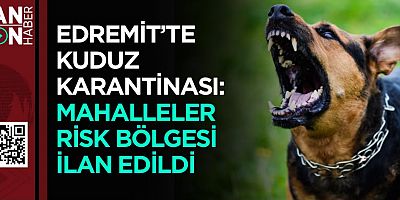 EDREMİT'TE KUDUZ KARANTİNASI: MAHALLELER RİSK BÖLGESİ İLAN EDİLDİ 
