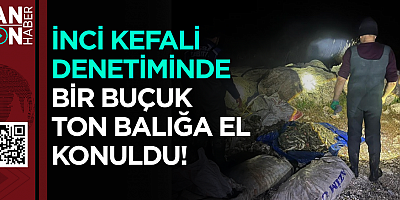 İnci kefali denetiminde bir buçuk ton balığa el konuldu 