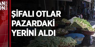 ŞİFALI OTLAR TEZGÂHLARDAKİ YERİNİ ALDI