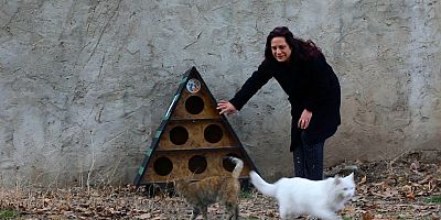 TUŞBA BELEDİYESİ'NDEN SOKAK KEDİLERİ İÇİN KIŞ ÖNLEMİ!
