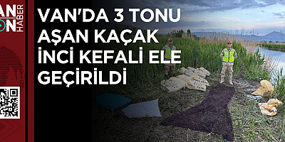 VAN'DA 3 TONU AŞAN KAÇAK İNCİ KEFALİ ELE GEÇİRİLDİ