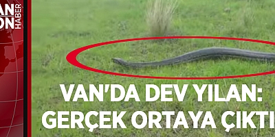 VAN'DA DEV YILAN: GERÇEK ORTAYA ÇIKTI!