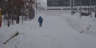 Van'da kar yağışı nedeniyle 61 yol kapandı