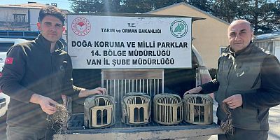 VAN'DA KEKLİK AVLAYAN 3 KİŞİYE 93 BİN PARA CEZASI KESİLECEK