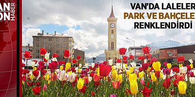 VAN’DA LALELER PARK VE BAHÇELERİ RENKLENDİRDİ
