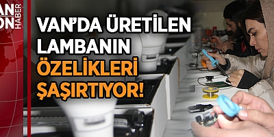 VAN’DA ÜRETİLEN LAMBANIN ÖZELİKLERİ ŞAŞIRTIYOR!