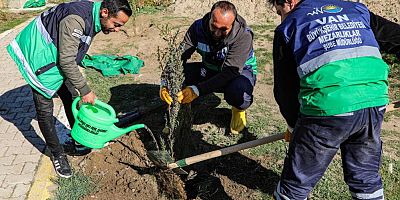VAN’DAKİ 13 MEZARLIK ALANINA 3 BİN 400 AĞACIN DİKİMİNE BAŞLANDI