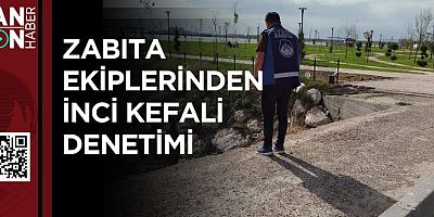Zabıta Ekiplerinden İnci Kefali Denetimi