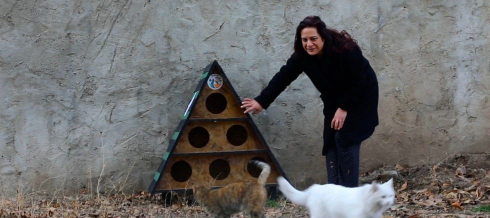 TUŞBA BELEDİYESİ'NDEN SOKAK KEDİLERİ İÇİN KIŞ ÖNLEMİ!